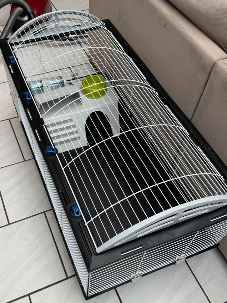 1 cage 120 Ferplast pour lapin et cochon d'Inde, Animaux & Accessoires, Rongeurs & Lapins | Cages & Clapiers, Comme neuf, Cage