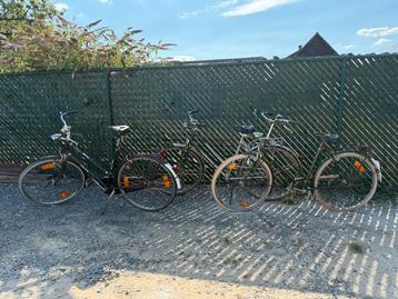 3 studenten/fietsen beschikbaar voor biedingen
