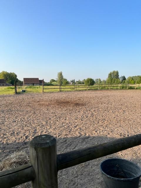 Kalken : paarden stalling met 24/24h weidegang, Animaux & Accessoires, Box & Pâturages, Mise à l'étable, 1 cheval ou poney