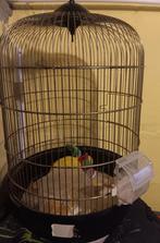 Cage à canari, Ophalen of Verzenden, Zo goed als nieuw