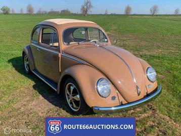 Volkswagen Beetle Oval Ragtop 1957 | Route 66 auctions, Achat, Entreprise, Cabriolet, Toit ouvrant
