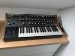 Moog Subsequent 37, Ophalen, Nieuw