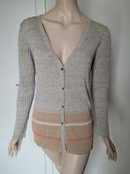 Vestje maat 40, Kleding | Dames, Truien en Vesten, Ophalen of Verzenden, Zo goed als nieuw, Maat 38/40 (M)