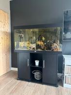 Aquarium 150cm met veel vissen., Enlèvement, Comme neuf