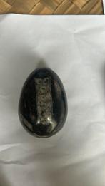 Oeuf en marbre fossilisé orthoceras, Enlèvement ou Envoi, Fossile