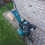 Tuinfrees, Enlèvement