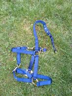 Licol bleu pour cheval - NEUF - taille FULL (Lamicel), Animaux & Accessoires, Enlèvement ou Envoi, Dressage, Neuf