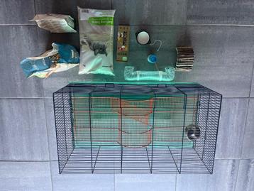 cage gerbille/hamster, Lapin, Moins de 60 cm, Cage, Comme neuf