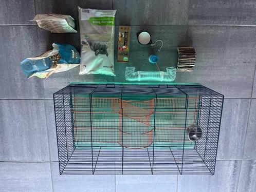 cage gerbille/hamster, Dieren en Toebehoren, Knaagdieren en Konijnen | Hokken en Kooien, Zo goed als nieuw, Kooi, Minder dan 60 cm