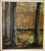 Forêt de Soignes ( Groenendaal).R.Stevens, Ophalen of Verzenden