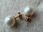 Parel oorbellen, Enlèvement, Comme neuf, Or