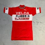 Flandria Velda Vleesbedrijf 1976 koerstrui wielertrui, Fietsen en Brommers, Fietsaccessoires | Fietskleding, Ophalen of Verzenden