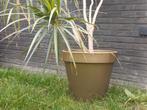 Grote bloembak goudkleurig, Tuin en Terras, Ophalen, Zo goed als nieuw