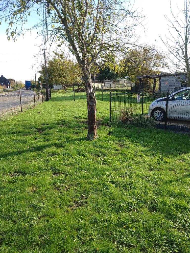 Te huur kleine wei in Bekkevoort, Animaux & Accessoires, Box & Pâturages