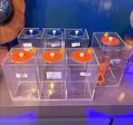 pompes doseuses red starfish, Ophalen, Zo goed als nieuw, Gevuld zeewateraquarium