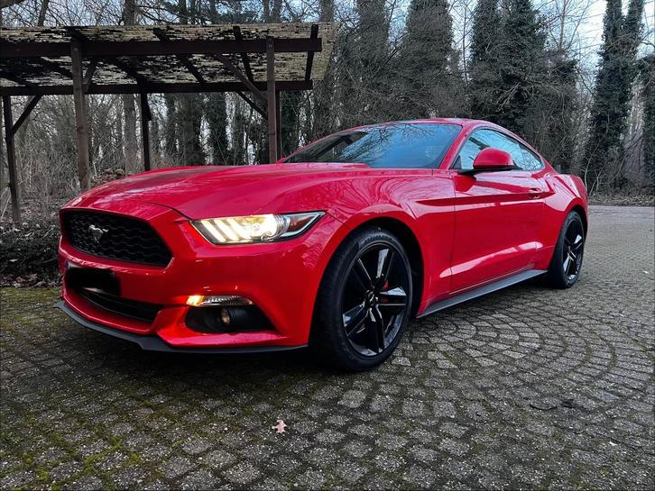 Ford Mustang 2.3 EcoBoost 1e Eigenaar, Autos, Ford, Particulier, Mustang, Essence, Euro 6, Coupé, 2 portes, Boîte manuelle, Entretenue par le concessionnaire