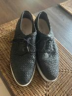 Pons quintana, Verzenden, Zo goed als nieuw, Blauw