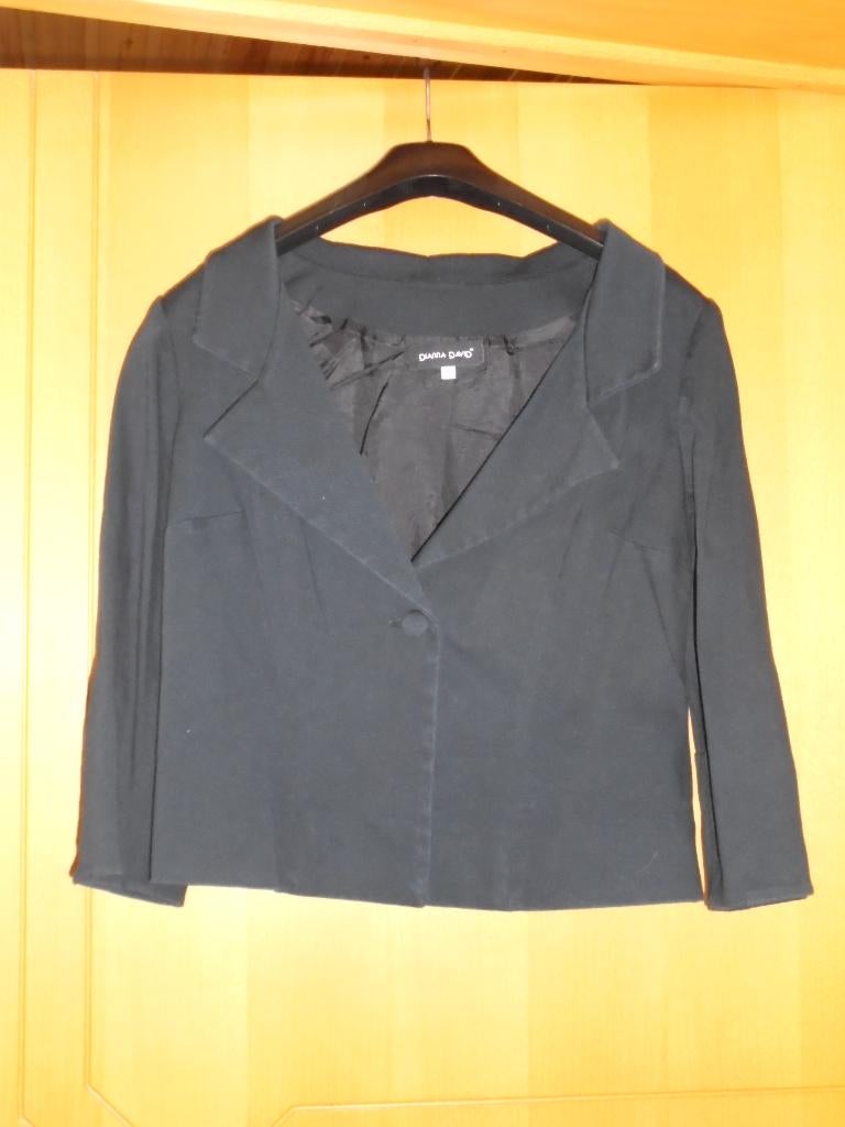 Zwarte vest 42 Dianna David, Kleding | Dames, Truien en Vesten, Ophalen of Verzenden, Zo goed als nieuw, Maat 42/44 (L), Zwart