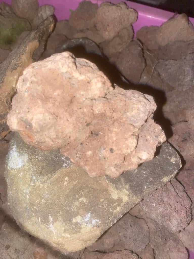 Lava stenen voor aquaruim, Ophalen, Gebruikt, Overige typen, Overige merken