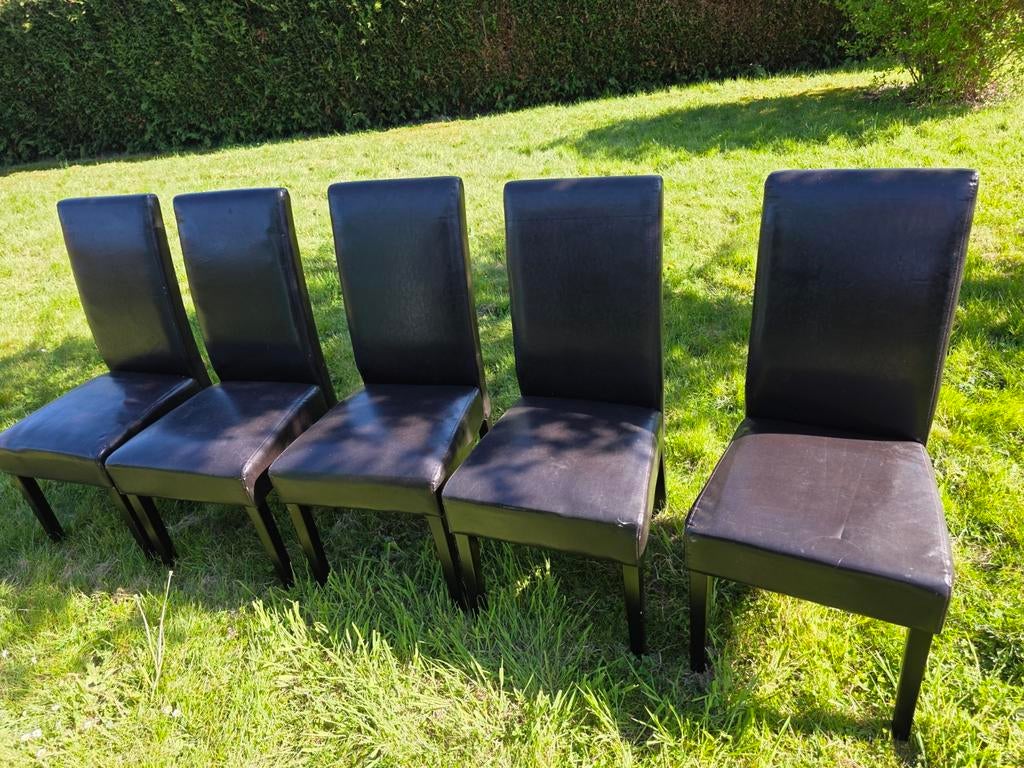 Chaise en cuir de salle a manger, Enlèvement, Cuir