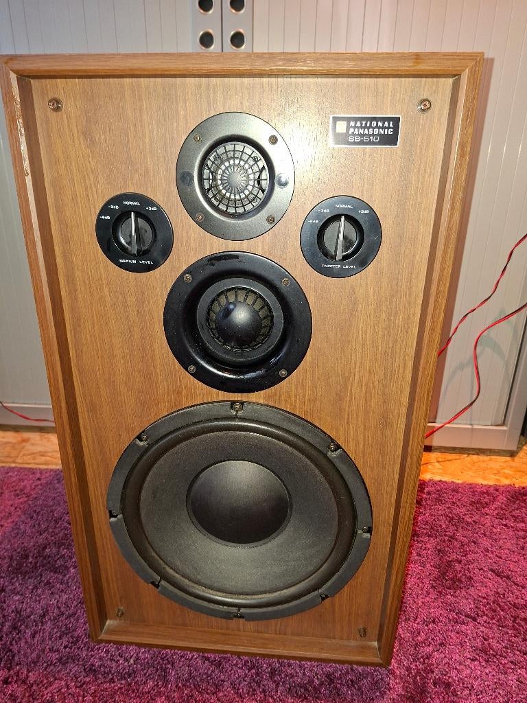 National Panasonic (Technics) SB510 in prachtstaat, Audio, Tv en Foto, Luidsprekerboxen, Ophalen
