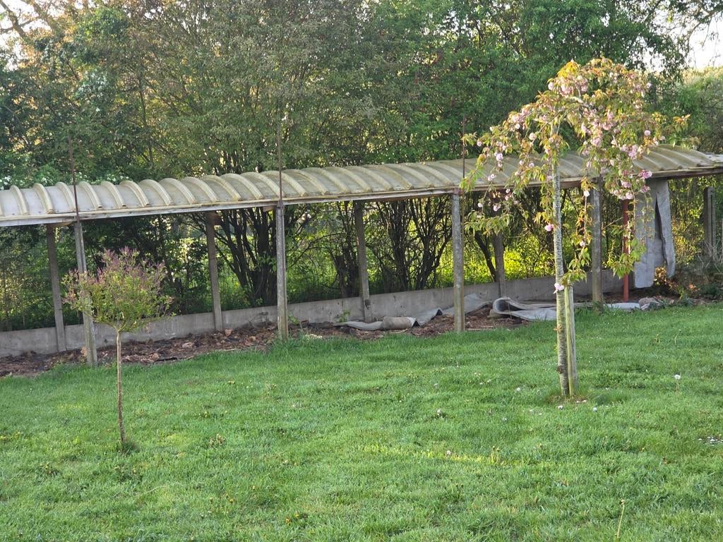 Assiettes incurvées