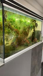 Grote aquarium, Enlèvement, Comme neuf