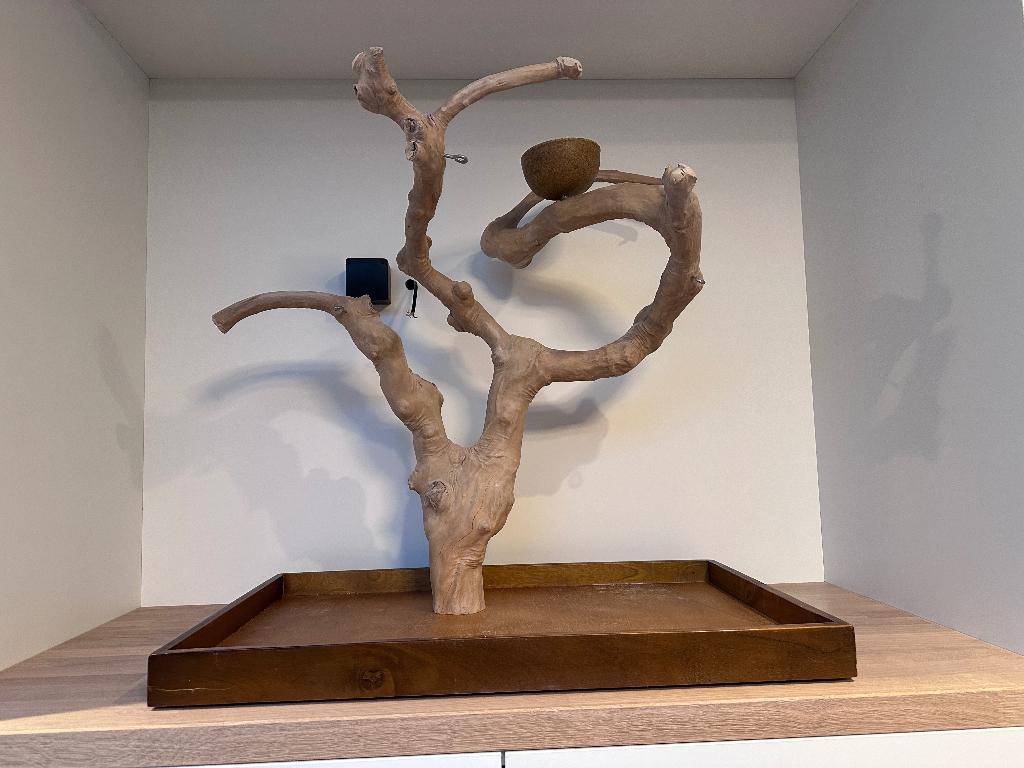 Java Playstand Large - Javaboom Tafelmodel, Ophalen, Gebruikt, Speelgoed