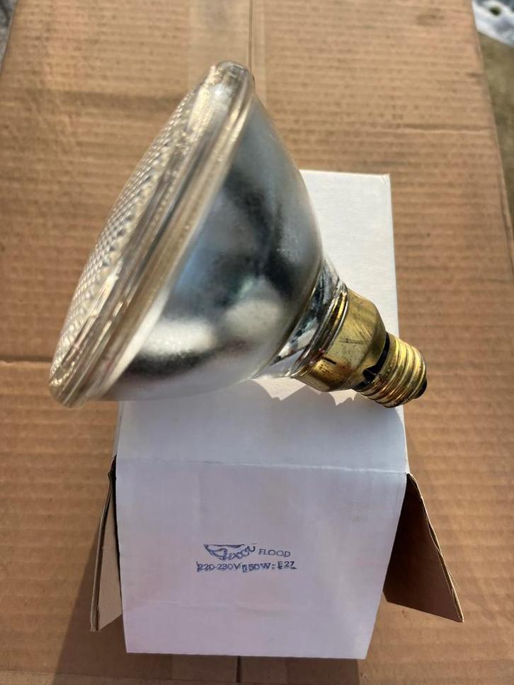 Warmte lamp gloeilamp 150W = 10+1 gratis, Dieren en Toebehoren, Reptielen en Amfibieën | Toebehoren, Nieuw, Verlichting, Ophalen of Verzenden