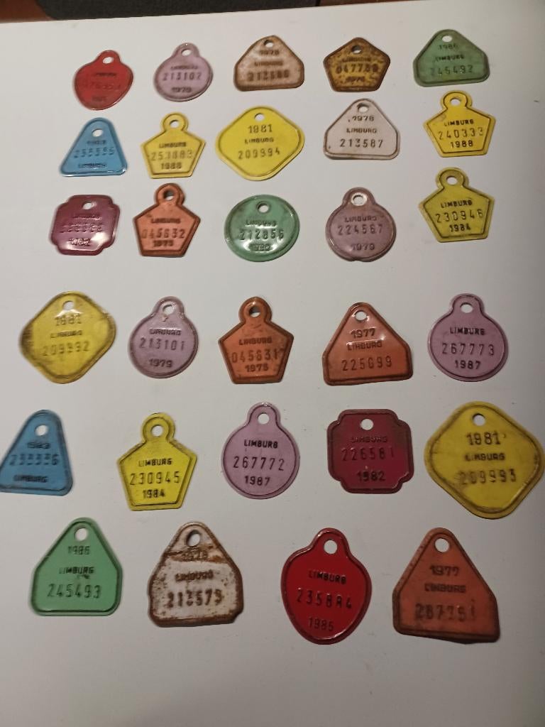 Fietstaksplaatsjes, Vélos & Vélomoteurs, Enlèvement, Utilisé