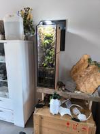 Terrarium-aquarium aménagé avec cascade d eau, Enlèvement