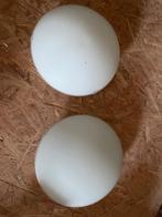 Plafondlampen, Huis en Inrichting, Ophalen, Zo goed als nieuw, Glas