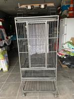 vogelkooi, Ophalen, Gebruikt, Vogelkooi