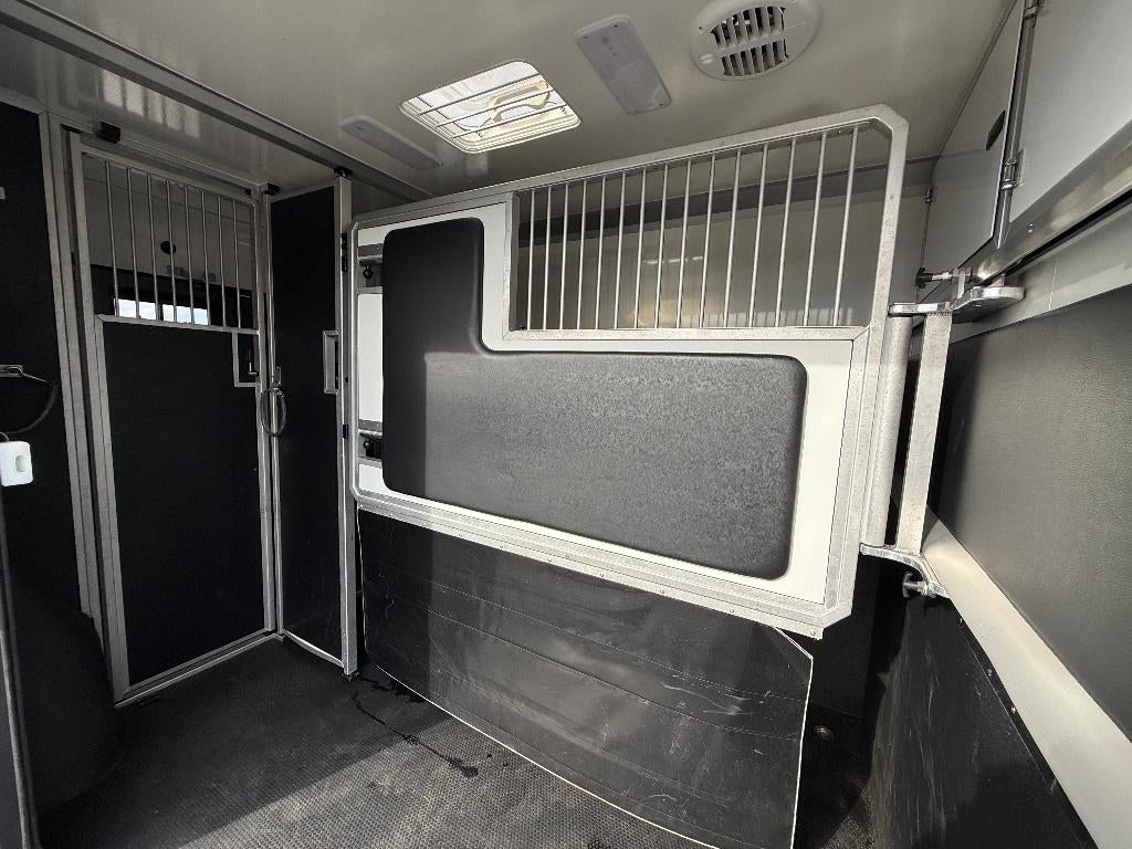 RENAULT | PAARDENCAMIONETTE | STX | STALLION 3XL | 2022, Ophalen, Gebruikt, Overige materialen, Overige typen