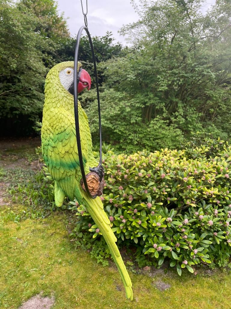 Beeld papegaai Groen tuin, vijver 70cm, Ophalen, Nieuw, Kunststof, Dierenbeeld