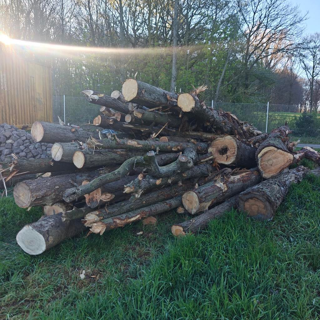 Brandhout spar, Tuin en Terras, Brandhout, Ophalen of Verzenden