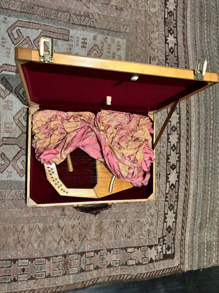 De Lier  : Muziekinstrument om te oefenen, Ophalen, Gebruikt