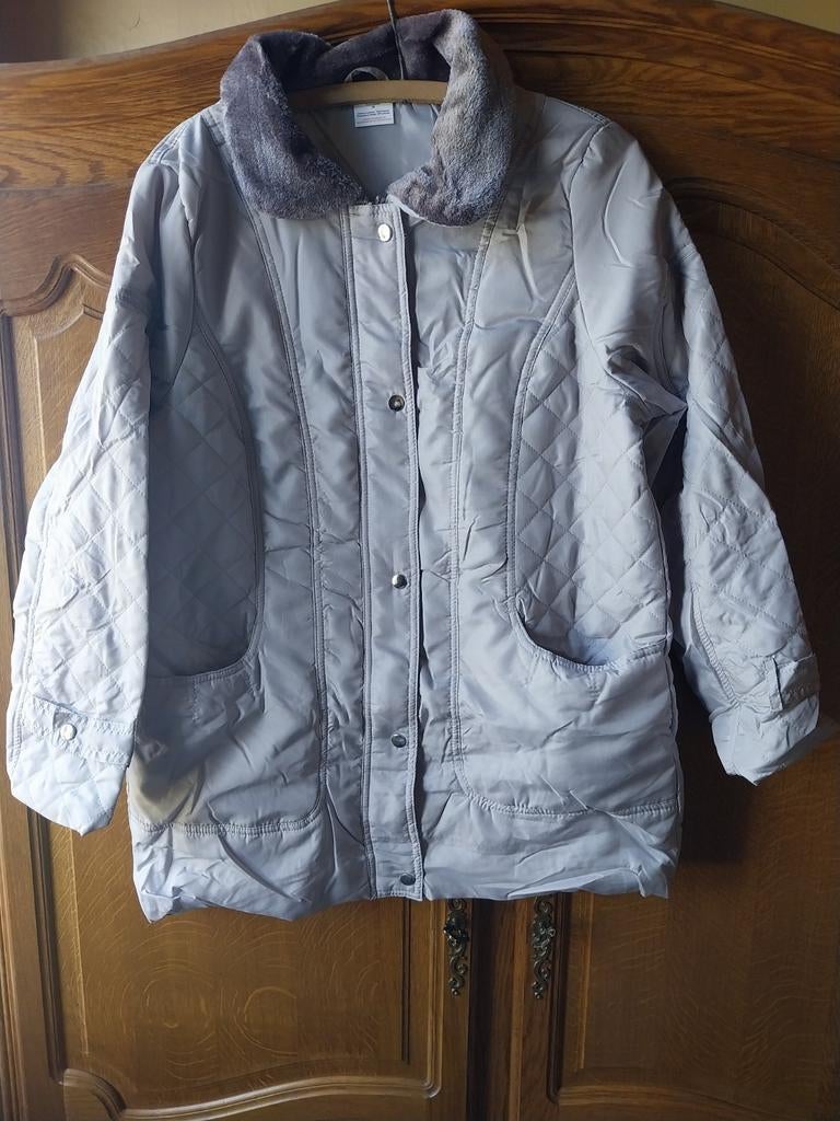 Veste neuve femme Damart, Vêtements | Femmes, Neuf, Taille 38/40 (M), Gris, Enlèvement ou Envoi