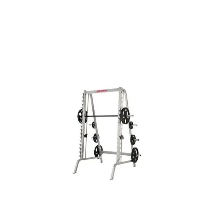 Life Fitness – Fit Series – Dual Smith/ Rack, Sport en Fitness, Fitnessmaterialen, Zo goed als nieuw, Overige typen, Armen, Benen