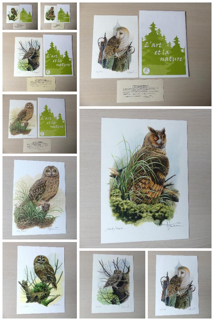 5 prachtige genummerde tekeningen A4 Buzin met certificaat, Postzegels en Munten, Postzegels | Europa | België, Ophalen of Verzenden