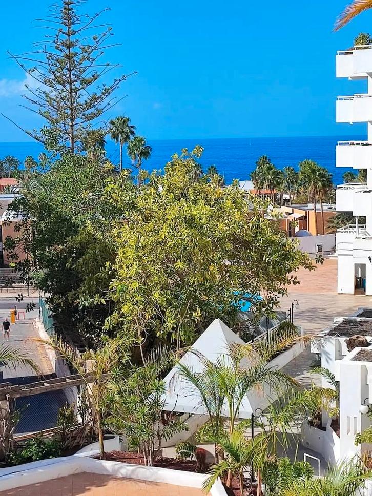 Appartement TENERIFE - playa de las Americas, Immo, Étranger, Espagne, Appartement, Autres