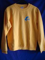 Sweater geel met lange mouwen en ronde hals maat M., B & C Collection, Maat 48/50 (M), Geel, Ophalen of Verzenden