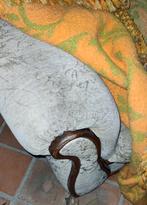 Antieke fauteuil, Antiek en Kunst, Ophalen