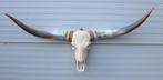 Grote schedel TEXAS STYLE LONGHORN 149 cm - ref. E, Collections, Collections Animaux, Enlèvement, Neuf, Animal de ferme, Crâne
