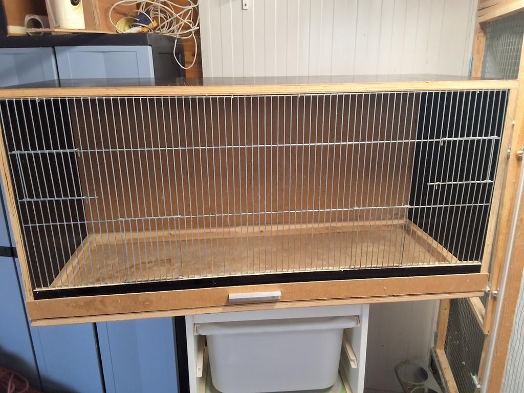 Kweekkooi, Ophalen, Gebruikt, Hout, Broedkooi of Kweekkooi