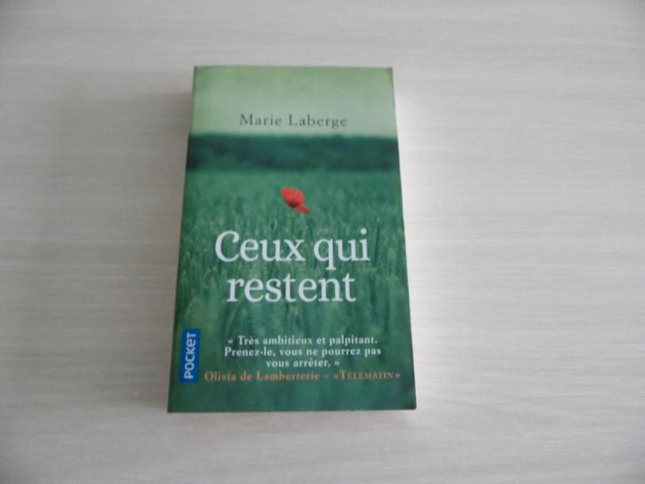 CEUX QUI RESTENT        MARIE LABERGE, Livres, Romans, Comme neuf, Amérique, Enlèvement ou Envoi