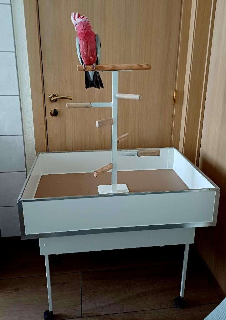 Zitstok zijstandaard voor papegaai of grote parkiet, Dieren en Toebehoren, Ophalen, Zo goed als nieuw, Aluminium, Overige typen