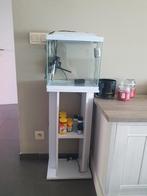 Aquarium met witte staander en toebehoren, zo goed als nieuw, Dieren en Toebehoren, Ophalen, Zo goed als nieuw