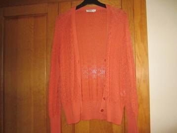 Gilet beschikbaar voor biedingen