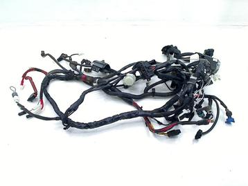 KABELBOOM Sprint 4T 2021-2025 (C25 E5 iGET EMEA 50cc) beschikbaar voor biedingen